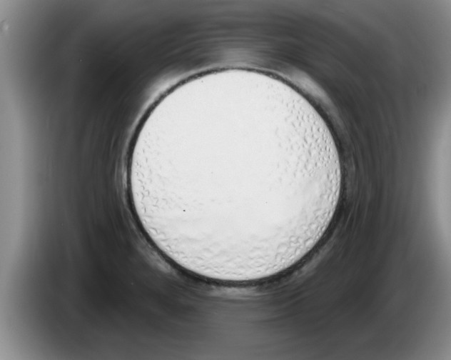 X0000083591280200703091711
