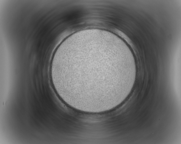 X0000083591282200703091711