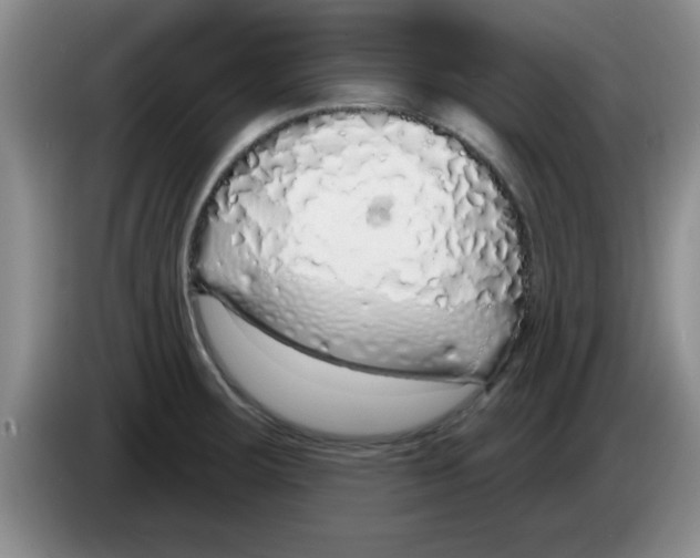 X0000083591283200703091711
