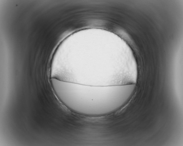 X0000083591284200703091711