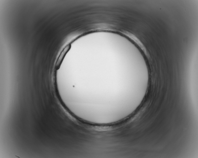 X0000083591285200703091711