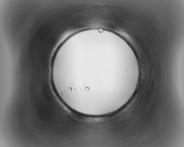 X0000083591286200703091711