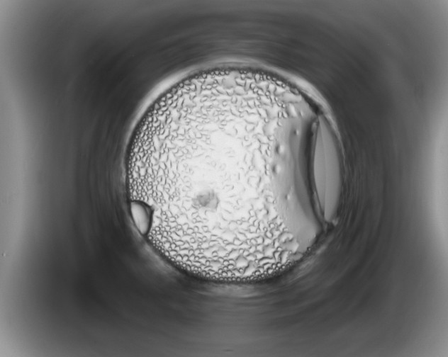 X0000083591287200703091711