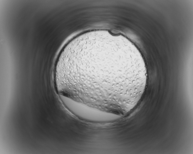 X0000083591288200703091711