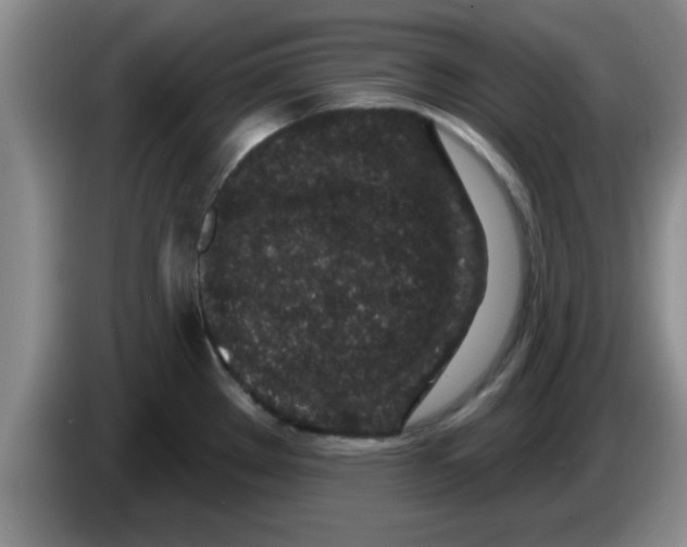 X0000083591289200703091711
