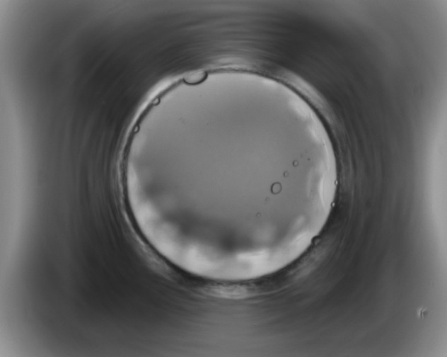 X0000083591291200703091711