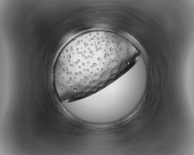 X0000083591292200703091711