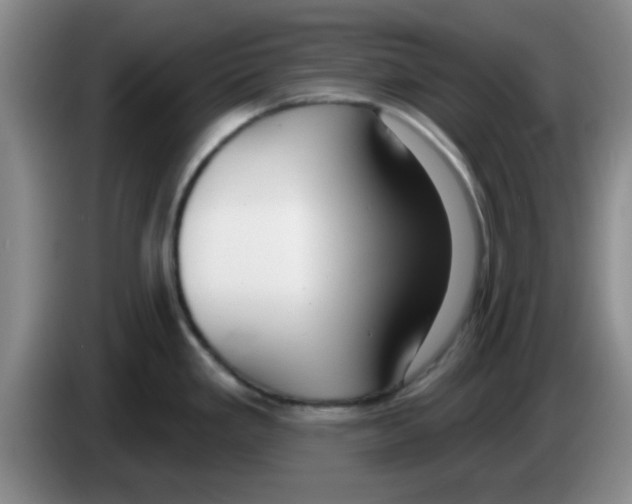 X0000083591293200703091711