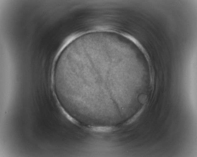 X0000083591294200703091711