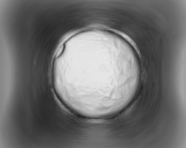 X0000083591295200703091711