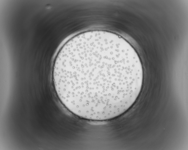 X0000083591296200703091711