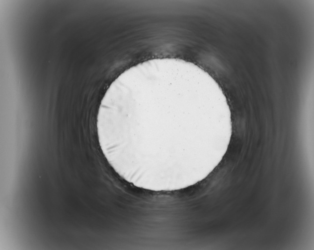 X0000083591297200703091711