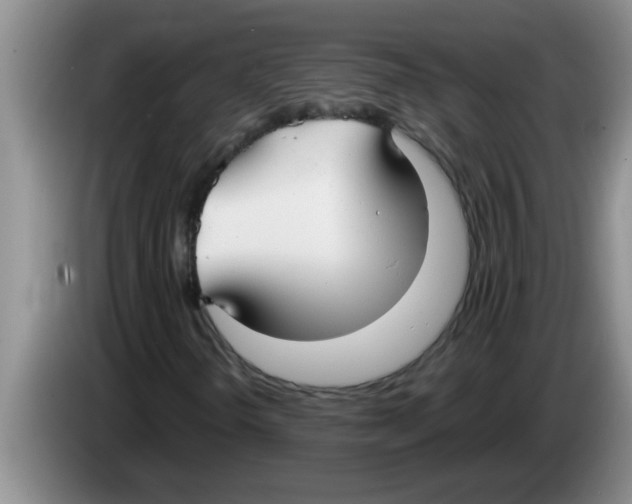 X0000083591298200703091711