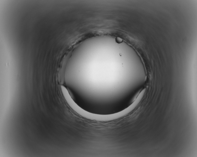 X0000083591300200703091711