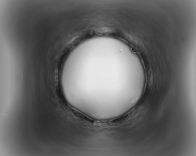 X0000083591301200703091711