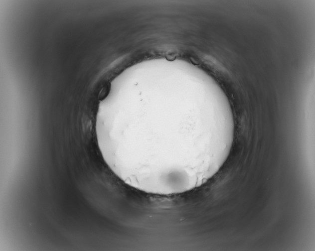 X0000083591302200703091711
