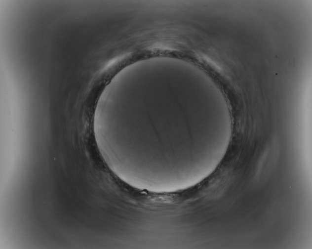 X0000083591303200703091711