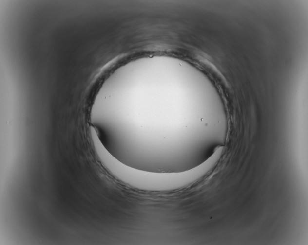 X0000083591304200703091711