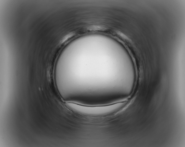 X0000083591305200703091711