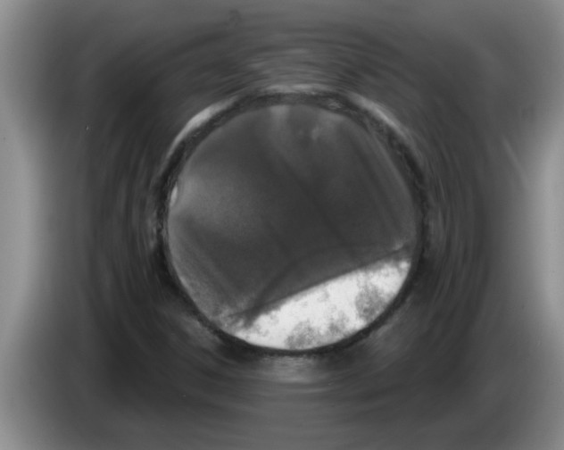 X0000083591306200703091711