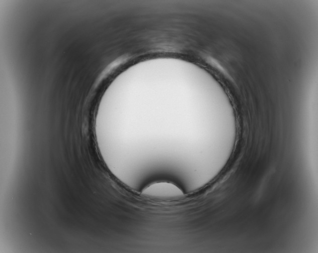 X0000083591307200703091711