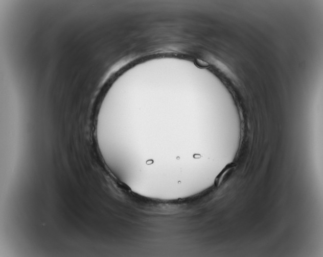 X0000083591308200703091711
