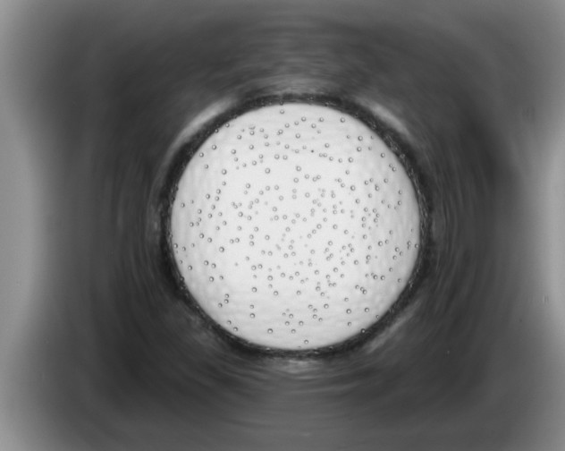 X0000083591309200703091711