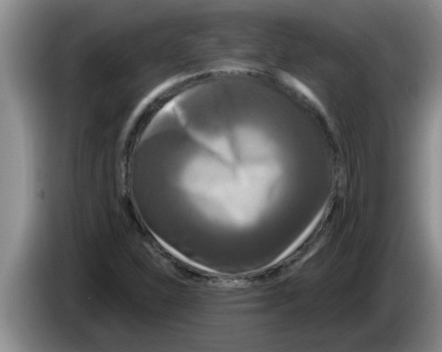X0000083591310200703091711