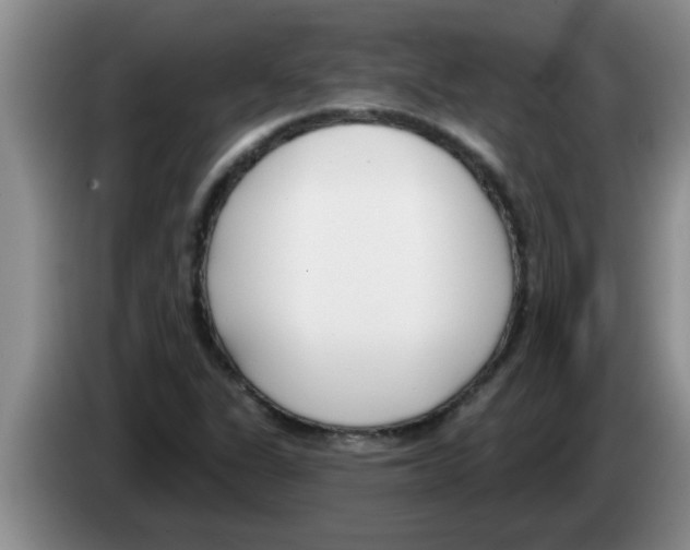 X0000083591311200703091711