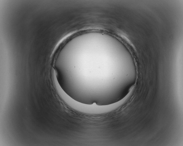 X0000083591312200703091711