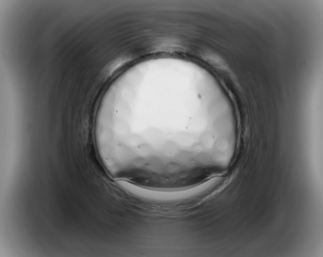 X0000083591313200703091711