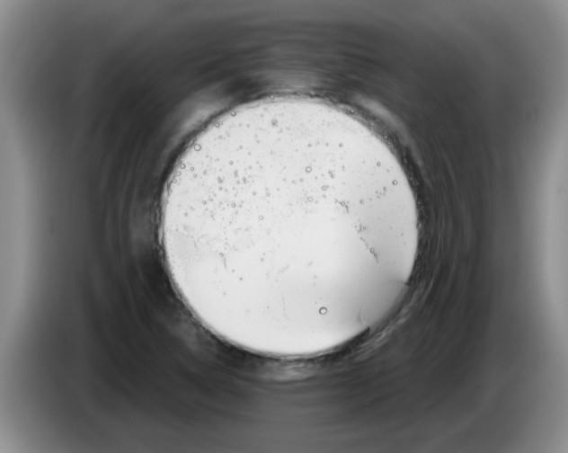 X0000083591314200703091711