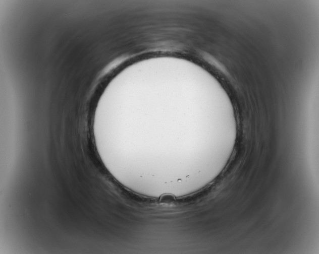 X0000083591315200703091711