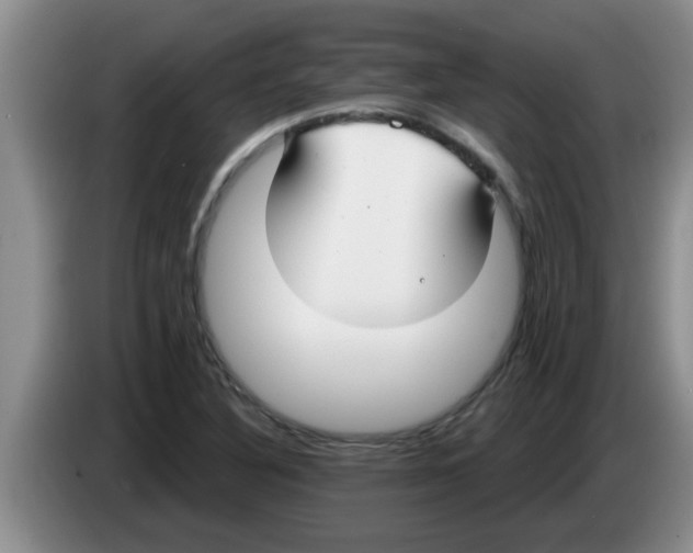 X0000083591316200703091711