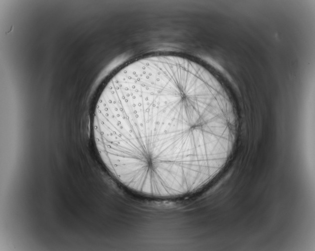 X0000083591317200703091711