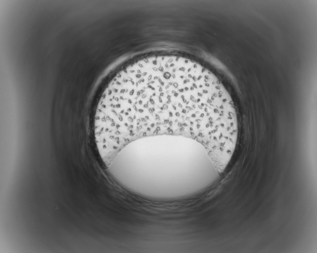 X0000083591318200703091711