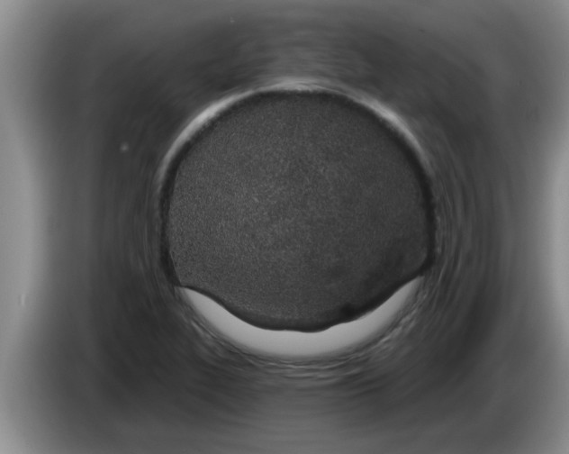 X0000083591319200703091711