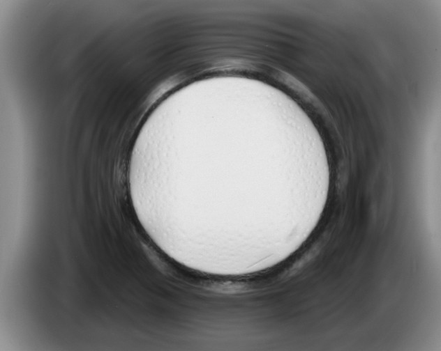 X0000083591321200703091711