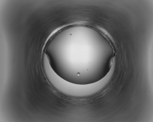 X0000083591324200703091711