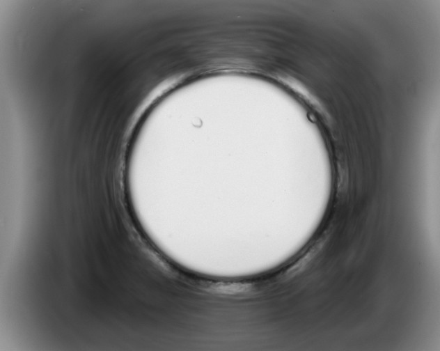 X0000083591325200703091711