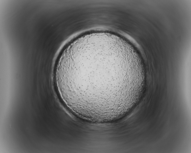 X0000083591327200703091711
