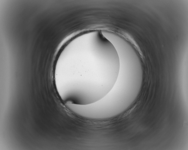 X0000083591328200703091711