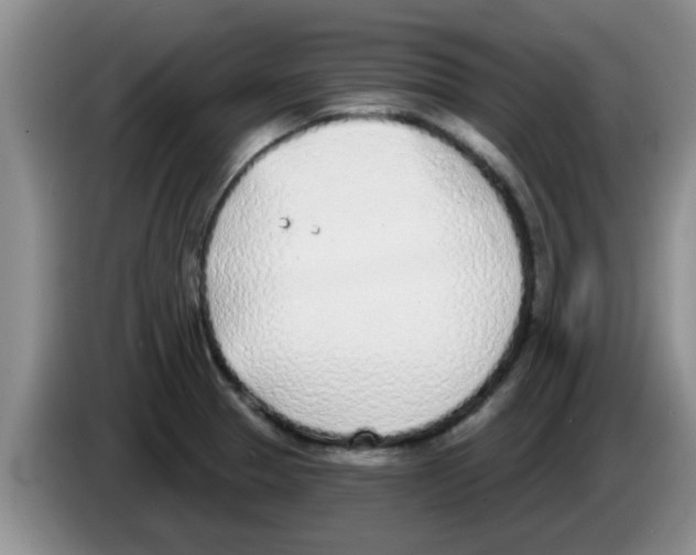 X0000083591329200703091711