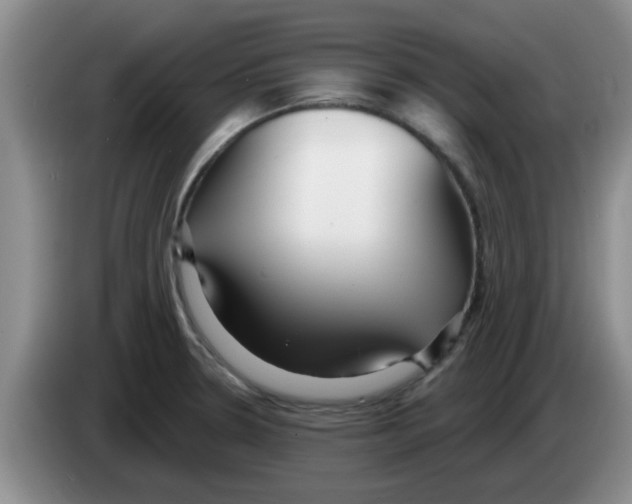 X0000083591330200703091711