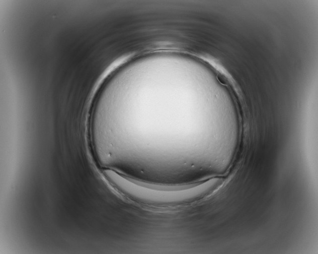 X0000083591333200703091711