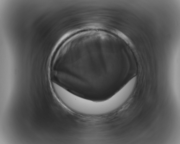 X0000083591334200703091711