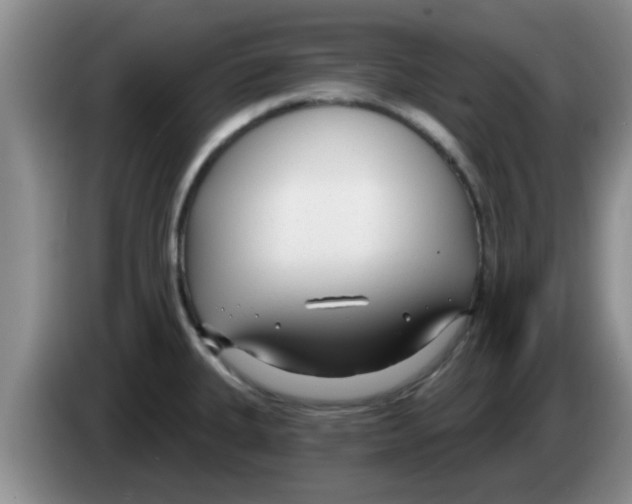 X0000083591335200703091711