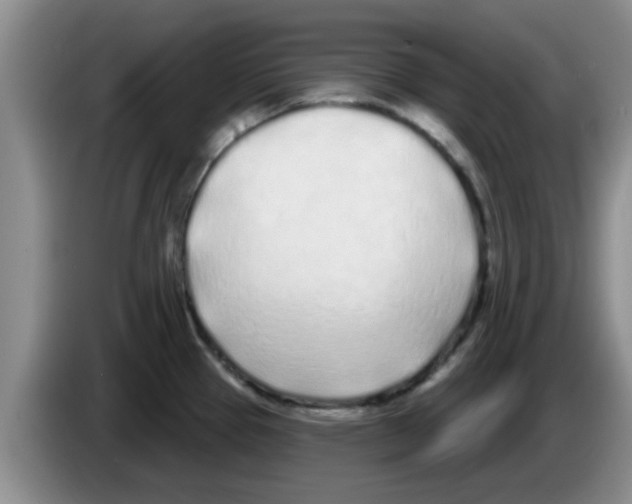 X0000083591337200703091711
