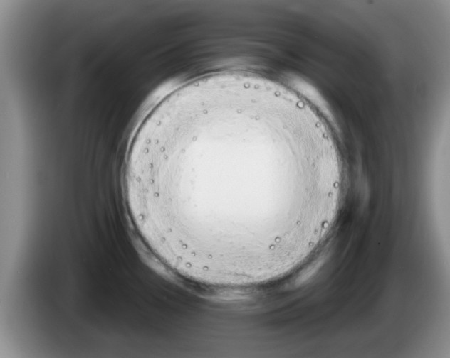 X0000083591338200703091711