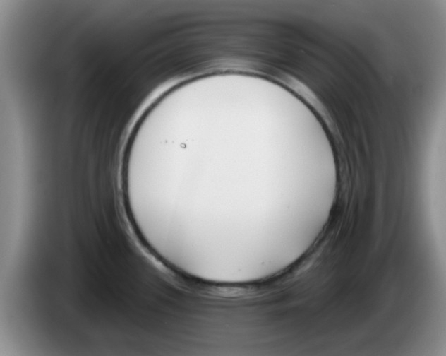 X0000083591339200703091711
